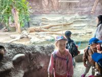 ZOO Praha - školní výlet 1. stupně_26