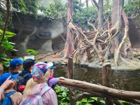 ZOO Praha - školní výlet 1. stupně_25