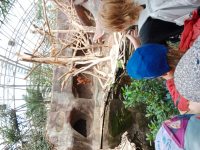 ZOO Praha - školní výlet 1. stupně_16