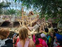 ZOO Praha - školní výlet 1. stupně_35