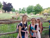 ZOO Praha - školní výlet 1. stupně_22