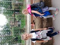 ZOO Praha - školní výlet 1. stupně_20