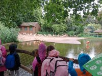 ZOO Praha - školní výlet 1. stupně_18
