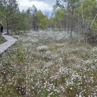 Exkurze do Vltavského luhu_41