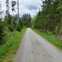 Exkurze do Vltavského luhu_40