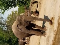 ZOO Praha_3