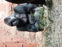 ZOO Praha_6