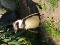 ZOO Praha_8