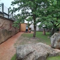 Výlet do ZOO Ohrada_1