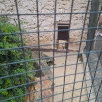 Výlet do ZOO Ohrada_3